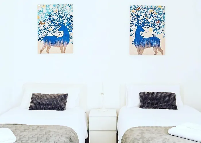 Silencioso Muy Luminoso Y Familiar 萨拉戈萨